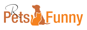 rpetsfunny